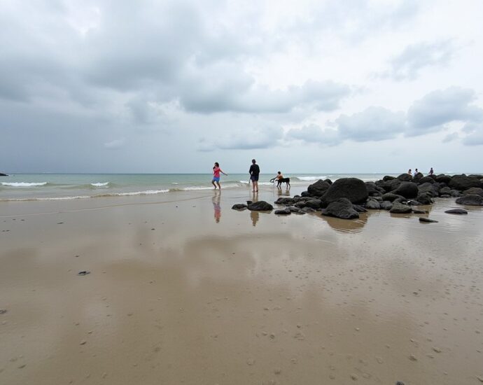 Mers-les-Bains sous la pluie : idées d'activités et visites abritées pour profiter autrement