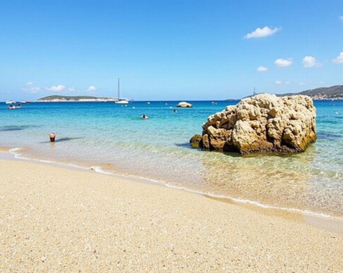 Découverte de la plage de Canella en Corse : un écrin de sable doré et d'eaux translucides